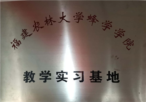 實(shí)習(xí)基地