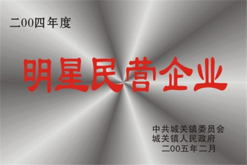 明星民營企業(yè)